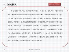 這是國企取平易近企配合存正在的